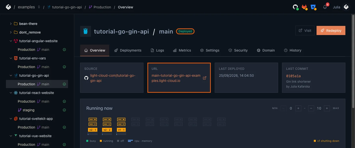 The Production overview of tutorial-go-gin-api with the Deployed badge and the URL card highlighted