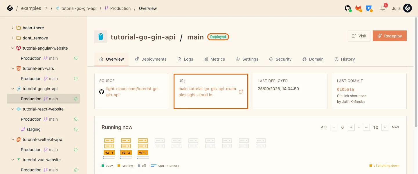 The Production overview of tutorial-go-gin-api with the Deployed badge and the URL card highlighted