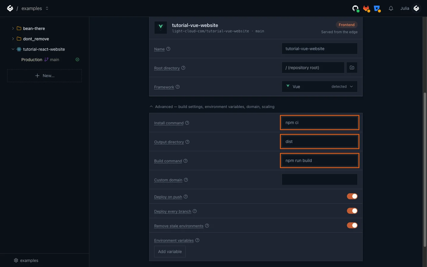 The Advanced section with npm ci, dist and npm run build highlighted