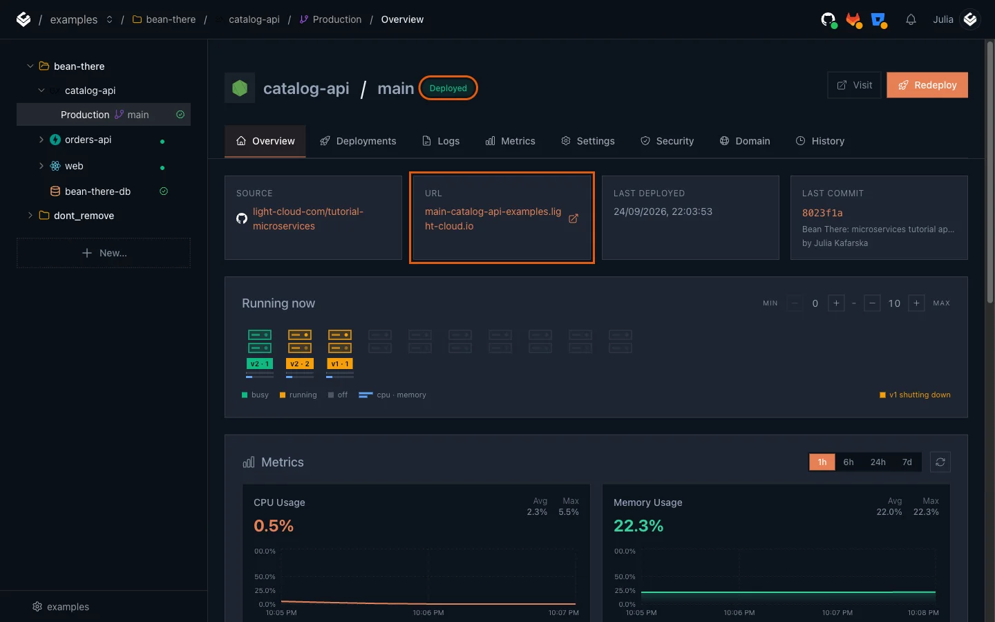 The catalog-api Overview tab with the Deployed badge and the URL card highlighted